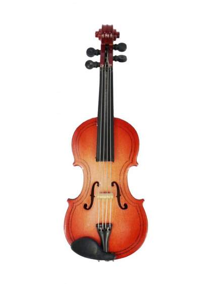 Magnet violin