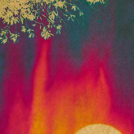 so warm, PT. 1: Warm-blooded