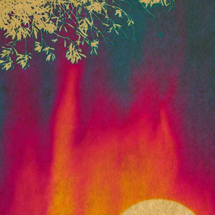 so warm, PT. 1: Warm-blooded