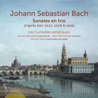 J. S. Bach: Sonates en trio d'après BWV 1027, 1028 & 1029