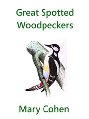 Mary Cohen: Great Spotted Woodpeckers