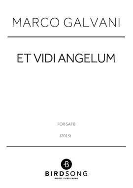 Marco Galvani: Et Vidi Angelum