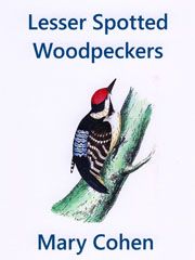 Mary Cohen: Lesser Spotted Woodpeckers