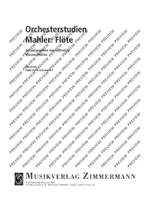 Orchestra Studies for Flute Product Image