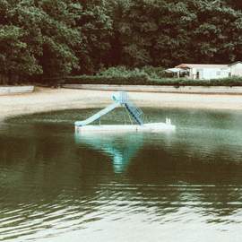 The Bird Experience