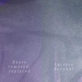 Roots removed, replaced