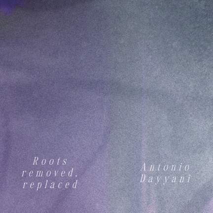 Roots removed, replaced