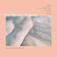 The Stillness of Vienna