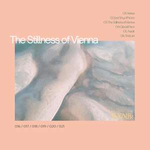 The Stillness of Vienna