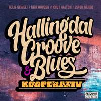 Hallingdal Groove & Blues Kooperativ