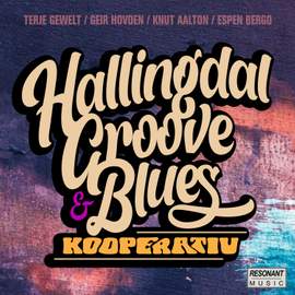 Hallingdal Groove & Blues Kooperativ