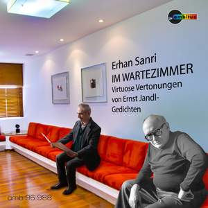Erhan Sanri: Im Wartezimmer