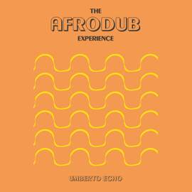 The Afrodub Experience