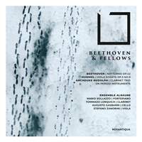 Beethoven & Fellows