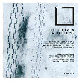 Beethoven & Fellows