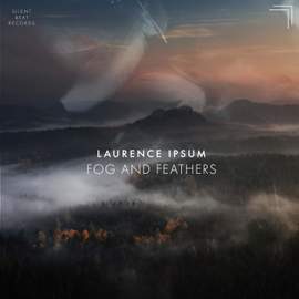 Fog and Feathers