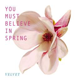 You Must Believe in Spring