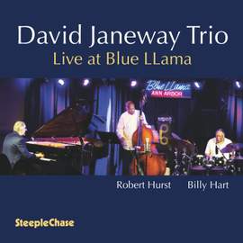 David Janeway Trio: Live At Blue Llama