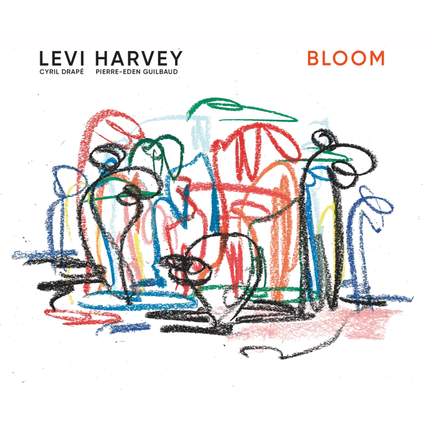 Bloom
