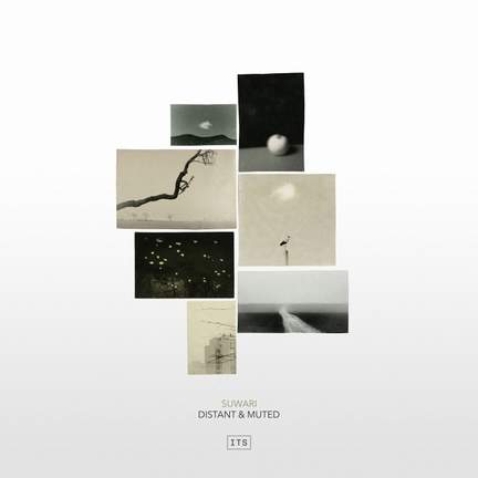 Distant & Muted