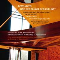 Beethoven und der Flügel der Zukunft