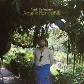 Angel in Plainclothes