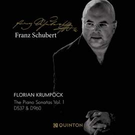 Franz Schubert: The Piano Sonatas Vol. 1