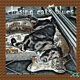 Chasing Cats Blues