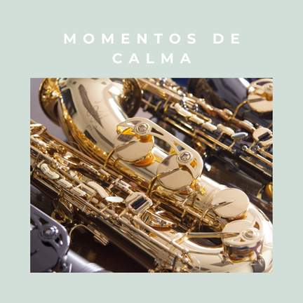 Momentos de Calma
