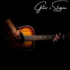 Gitar i Skogen