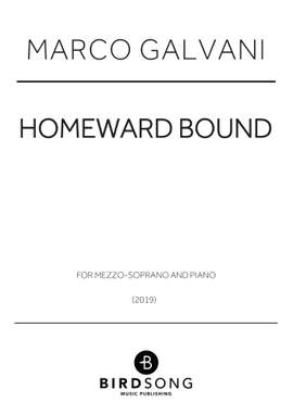 Marco Galvani: Homeward Bound