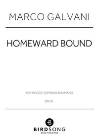Marco Galvani: Homeward Bound