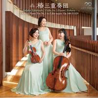 Schubert: Piano Trio No. 2