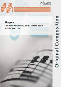 Harrie Janssen: Shapes