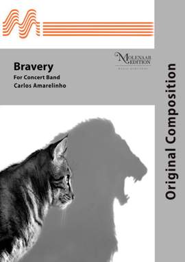 Carlos Amarelinho: Bravery