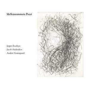 Mellemrummets Poesi
