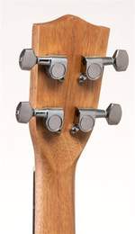 VOLT Ukulele "Zebrano" (Concerto/24") Product Image