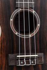 VOLT Ukulele "Zebrano" (Concerto/24") Product Image