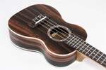 VOLT Ukulele "Zebrano" (Concerto/24") Product Image