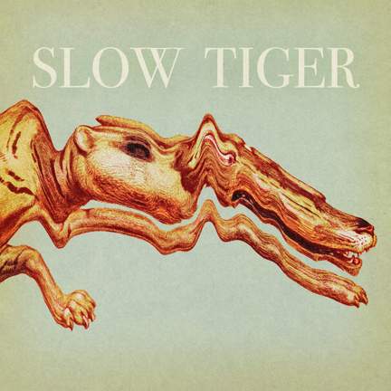 Slow Tiger