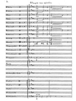 Herbert, Victor: Concerto for Violoncello No. 1 in D major, Op. 8