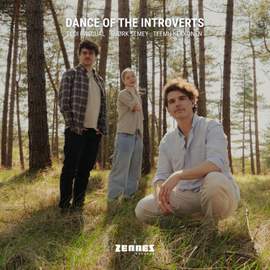 Dance of the Introverts