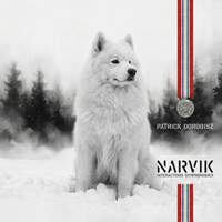 Narvik - Interactions symphoniques