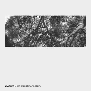 Cycles