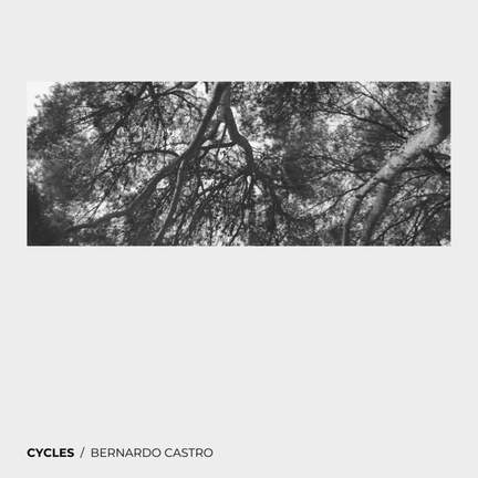 Cycles
