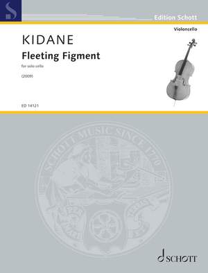 Kidane, D: Fleeting Figment