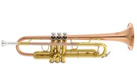 Vincent Bach Bb Trumpet - Student TR351G