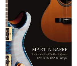 Acoustic Trio and the Electric