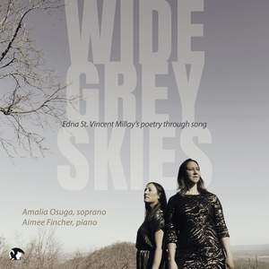 Wide Grey Sky