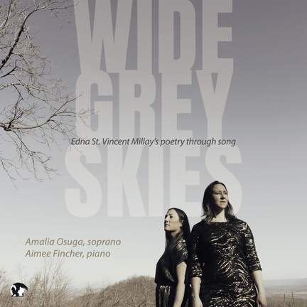 Wide Grey Sky